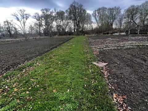 будинок за адресою Поповича