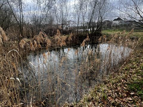 будинок за адресою Поповича