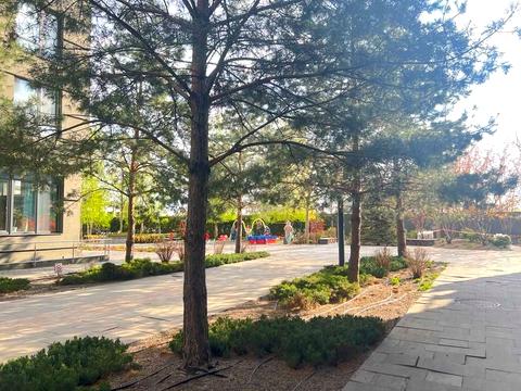 квартира по адресу Камянская ул. (Днепродзержинская), 128