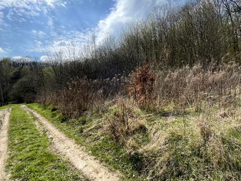 ділянка за адресою Центральна вул.