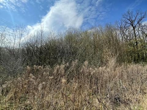 ділянка за адресою Центральна вул.