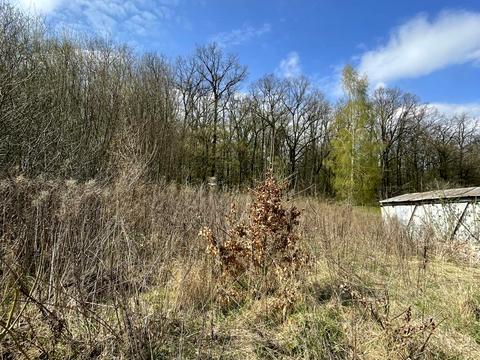 ділянка за адресою Центральна вул.