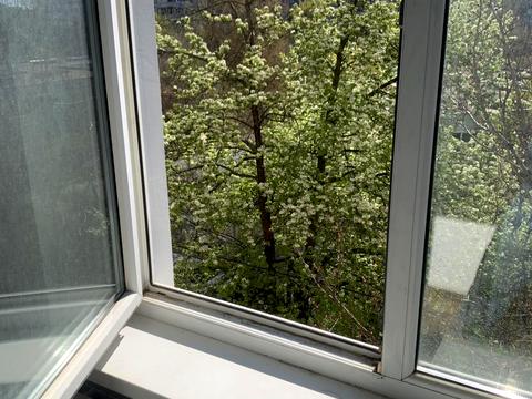 квартира по адресу Победы просп., 76