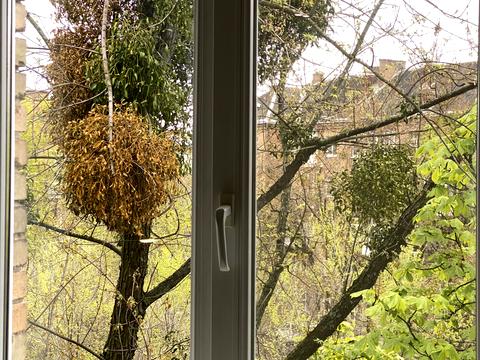 квартира за адресою Дегтярівська вул., 55