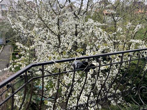 дом по адресу Савичанська, 7