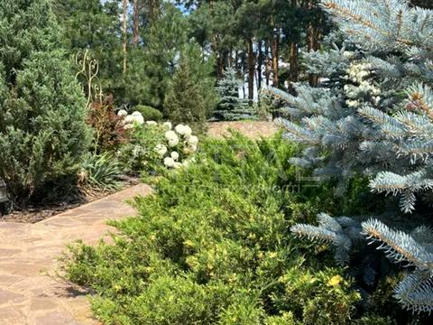 будинок за адресою с. Стоянка, Приозерна