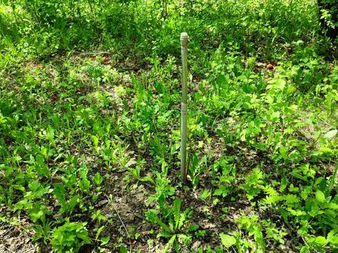 будинок за адресою Садова