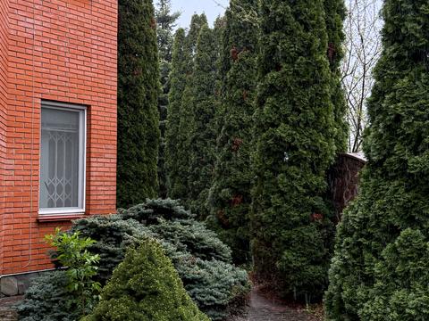 будинок за адресою с. Новосілки, Теремківська вул.