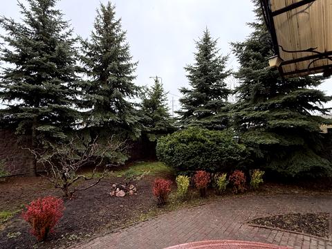 будинок за адресою с. Новосілки, Теремківська вул.