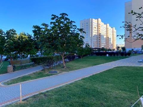 квартира по адресу с. Софиевская Борщаговка, Чубинского ул., 8-В