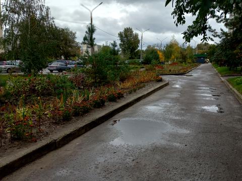 квартира по адресу Ивана Сирко ул. (Демʼяна Коротченка), 18