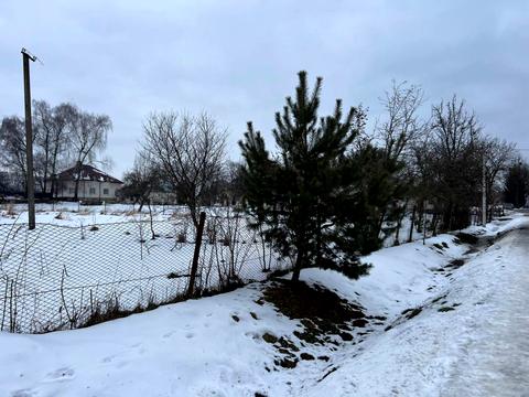 ділянка за адресою с. Скнилів, 