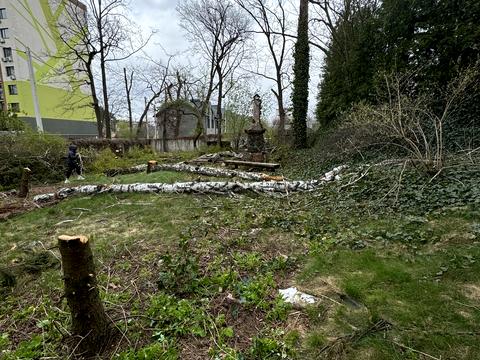 участок по адресу Павленка ул., 54В