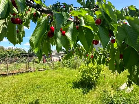 дом по адресу Кремінна ул. (Кольська)