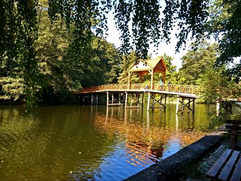 квартира за адресою Квітки Цісик вул. (Гамарника), 32