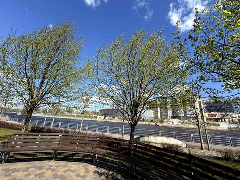 коммерческая по адресу Трускавецкая ул., 4-Б