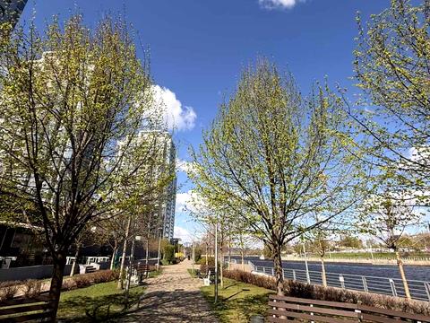 коммерческая по адресу Трускавецкая ул., 4-Б