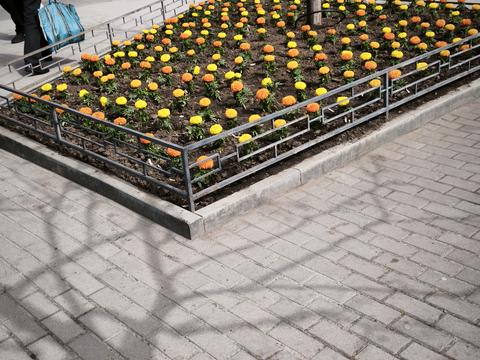 квартира за адресою Миру просп., 83