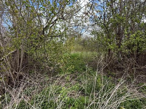 участок по адресу Тараса Шевченка