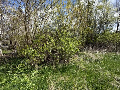 участок по адресу Тараса Шевченка