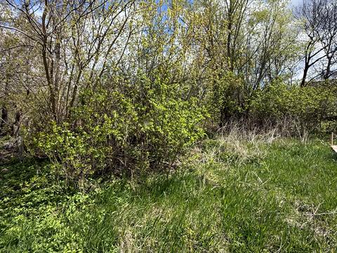 участок по адресу Тараса Шевченка