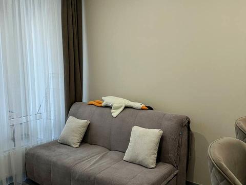 квартира за адресою Олександра Олеся вул., 10