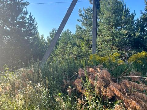 ділянка за адресою 1 Грудня вул.