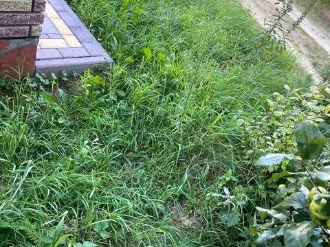 ділянка за адресою 1 Грудня вул.