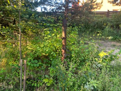 ділянка за адресою 1 Грудня вул.