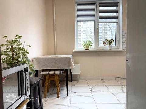 квартира по адресу Оноре де Бальзака ул., 61-А