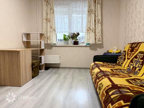 квартира по адресу Оноре де Бальзака ул., 61-А