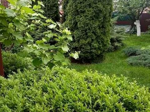 будинок за адресою Молодіжна вул.