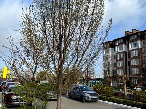 квартира за адресою Феодосія Печерського вул. (Піонерська), 39