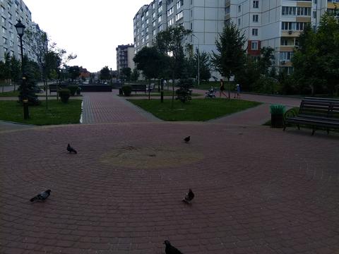 квартира по адресу Південна ул., 17