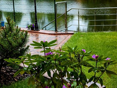 дом по адресу 50-та Садова ул.