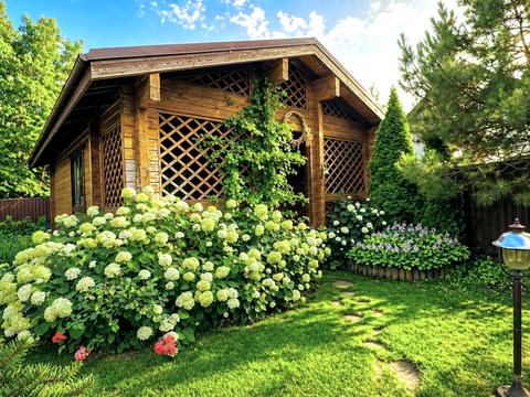 дом по адресу Шкільна