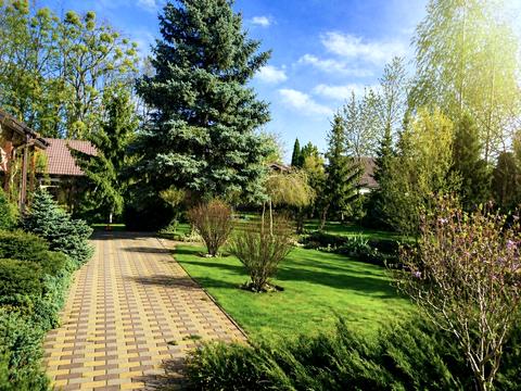 дом по адресу Шкільна