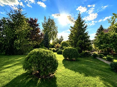 дом по адресу Шкільна