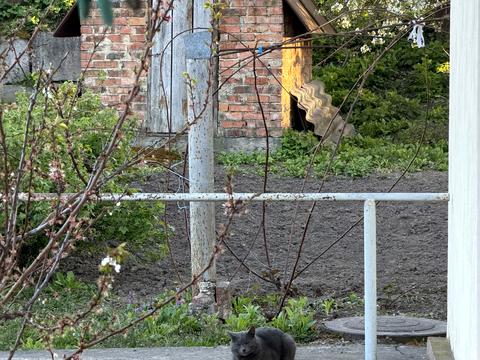 будинок за адресою Вінниця, Вишневий узвіз, 14