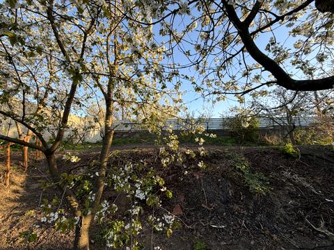 будинок за адресою Вінниця, Вишневий узвіз, 14