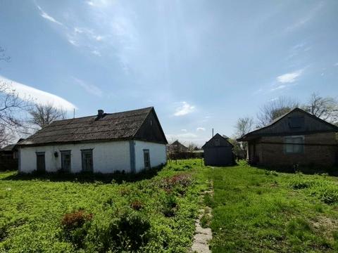 ділянка за адресою смт. Сахновщина, Довженка