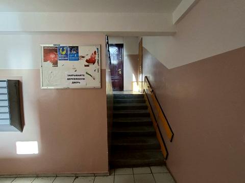 квартира по адресу Композитора Нищинского ул., 28