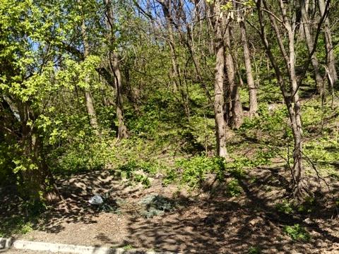 ділянка за адресою Чорногірська вул., 34-Б