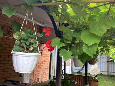 будинок за адресою Садова