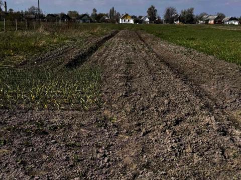 дом по адресу Отаманів Соколовських