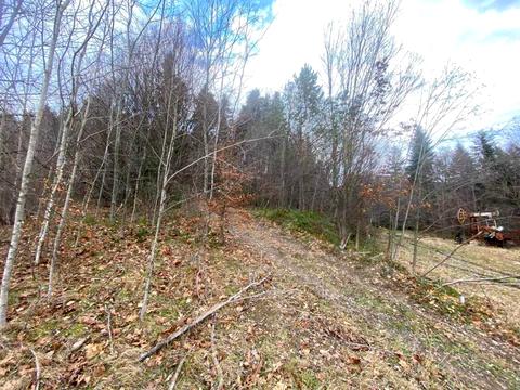 ділянка за адресою 