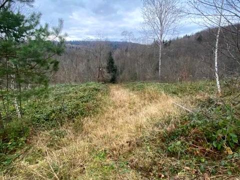 ділянка за адресою 