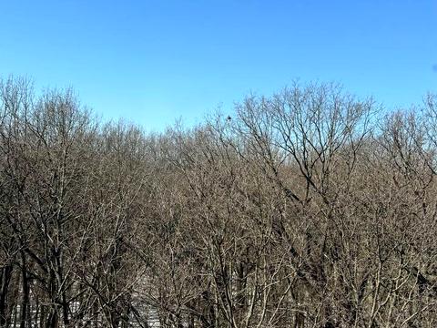 квартира за адресою Праведників Світу вул., (Будинок 9)