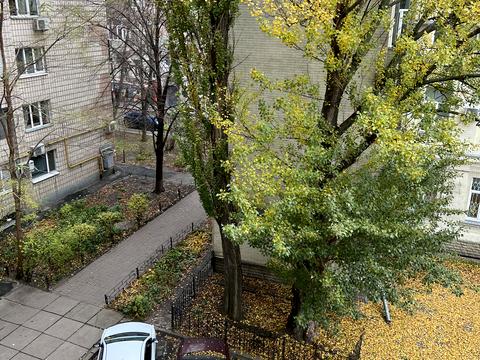 квартира по адресу Князей Острожских ул. (Московська), 17/2