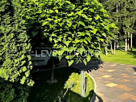 дом по адресу  пер., 38